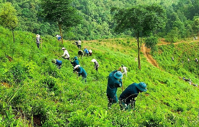 Ảnh minh họa. Nguồn: Internet.