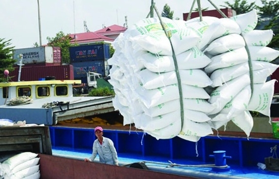 Việt Nam có thể yên tâm về vấn đề an ninh lương thực, tận dụng thời cơ cho xuất khẩu gạo