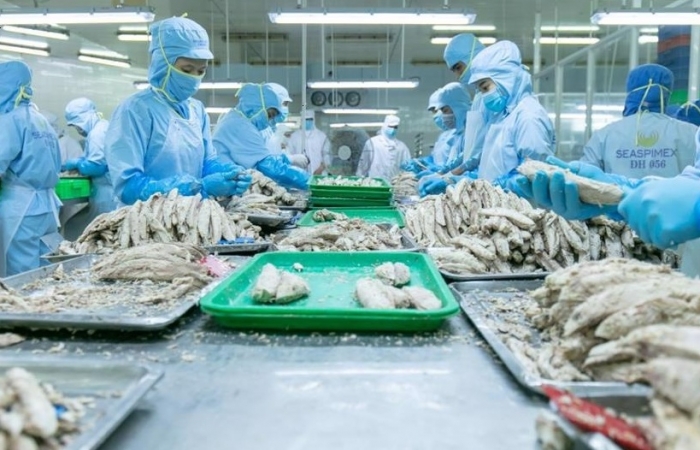 Xuất khẩu cá ngừ sang Hàn Quốc tăng 4 lần