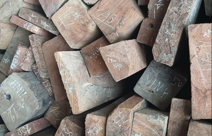 Nghệ An: Đề xuất nhập khẩu lô hàng gỗ do yếu tố bất ngờ, bất khả kháng