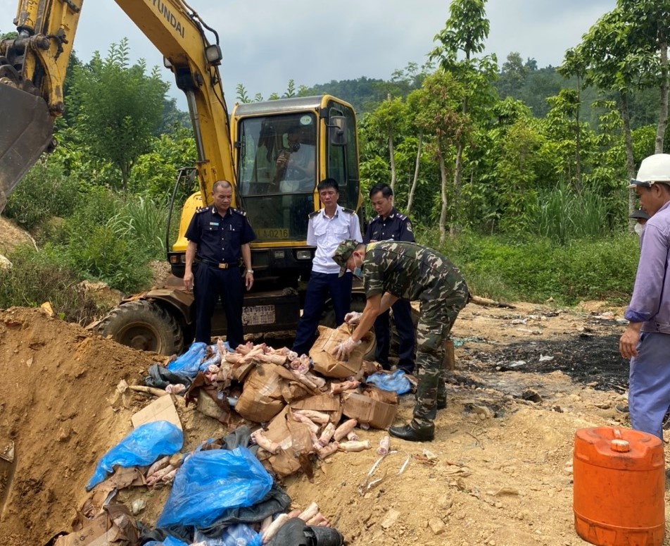 Hải quan Lào Cai tiêu hủy 300 kg chân lợn đông lạnh không rõ nguồn gốc