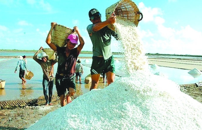 Nhiều tiềm năng xuất khẩu muối