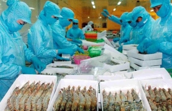 Xuất khẩu tôm sang Mỹ và Trung Quốc ghi nhận kết quả tích cực