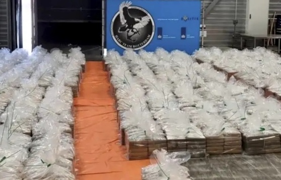 8 tấn cocaine ẩn lậu trong các container chuối