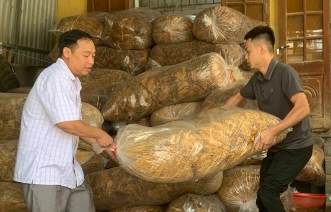 Tạm giữ 800 kg nguyên liệu thuốc lá không rõ nguồn gốc tại Cao Bằng