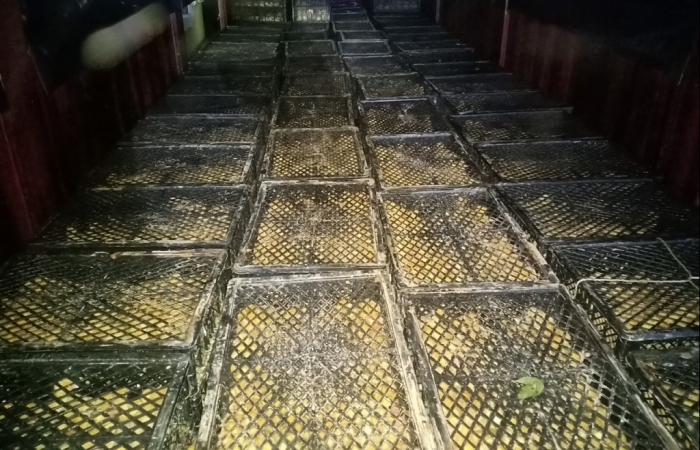 Lạng Sơn thu giữ 18.200 con vịt giống không rõ nguồn gốc