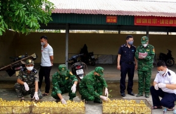 Hải quan Chi Ma (Lạng Sơn) phối hợp bắt giữ 1.050 con vịt giống nhập lậu
