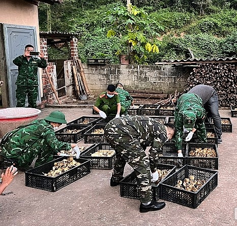 Tổ công tác kiểm đến số tang vật.