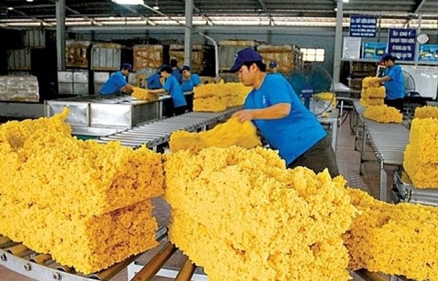 Trung Quốc - thị trường xuất khẩu lớn nhất của ngành hàng cao su