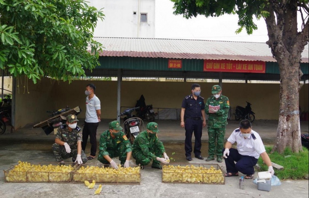 Lạng Sơn tăng cường kiểm tra chống buôn lậu tại các địa bàn trọng điểm
