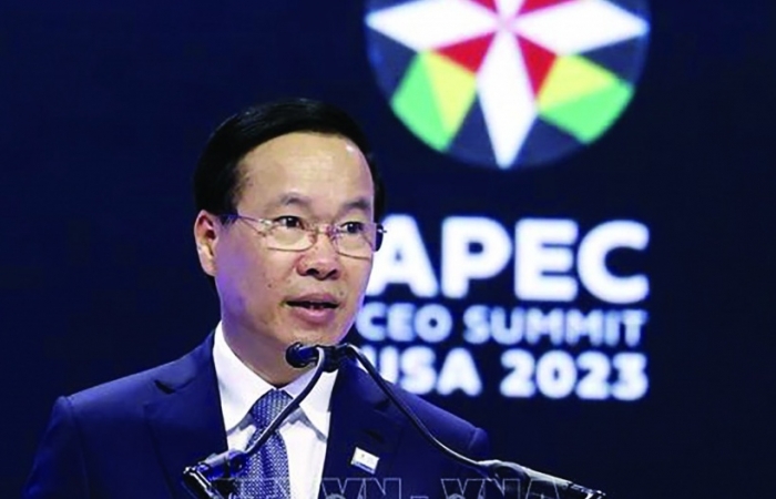 Việt Nam chủ động và tích cực  tham gia, đóng góp trong APEC