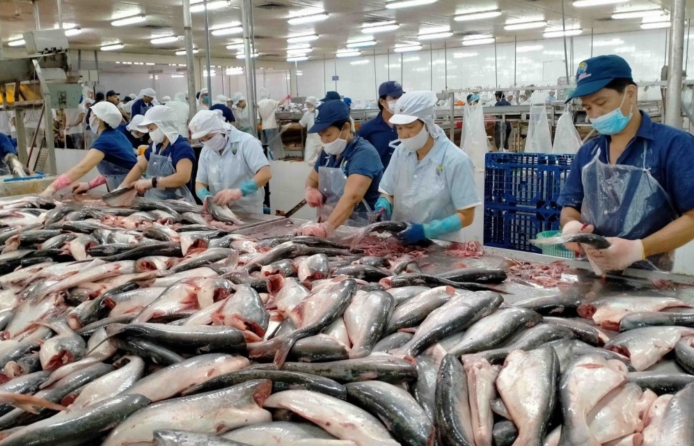 Thái Lan đứng đầu khối ASEAN về tiêu thụ cá tra Việt Nam