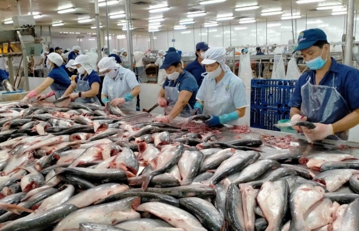 Xuất khẩu cá tra tăng trưởng dương ở hầu hết thị trường