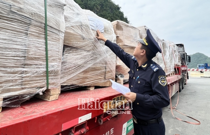 Lạng Sơn: Tổng kim ngạch xuất nhập khẩu đạt trên 18 tỷ USD