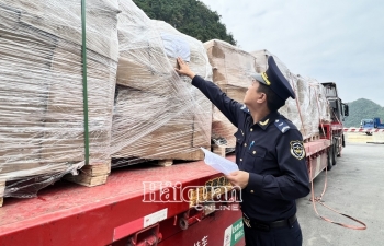 Lạng Sơn: Rà soát chặt công tác phân loại mặt hàng “máy xay bột”