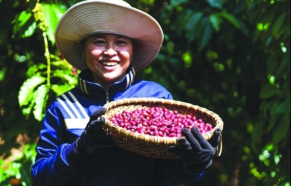 Xây dựng thương hiệu để khai thác thế mạnh nông sản Việt