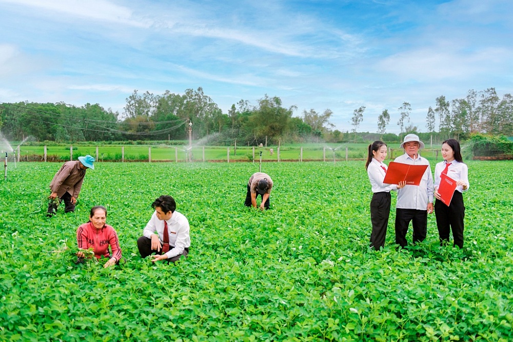 Nhờ đồng vốn từ Agribank, nhiều hộ sản xuất và doanh nghiệp đã vượt qua giai đoạn khó khăn để hồi phục kinh tế.