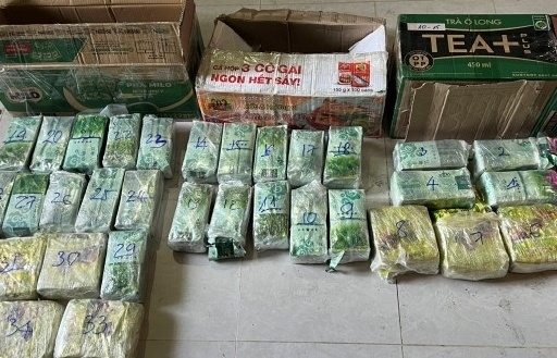 Triệt phá đường dây vận chuyển 290 kg ma túy từ Lào về TPHCM