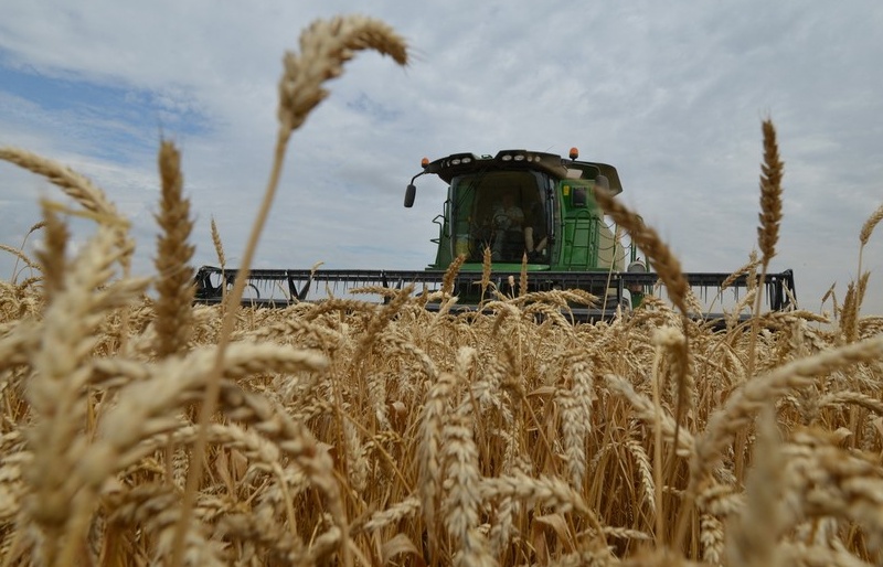 5 quốc gia châu Âu kêu gọi EU cấm nhập khẩu ngũ cốc của Nga và Belarus