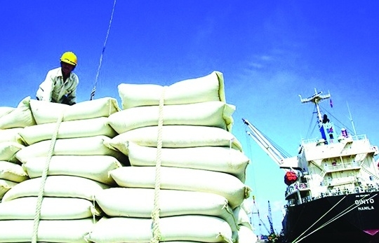 Làm gì để giữ vị thế xuất khẩu gạo số 1 tại Philippines?