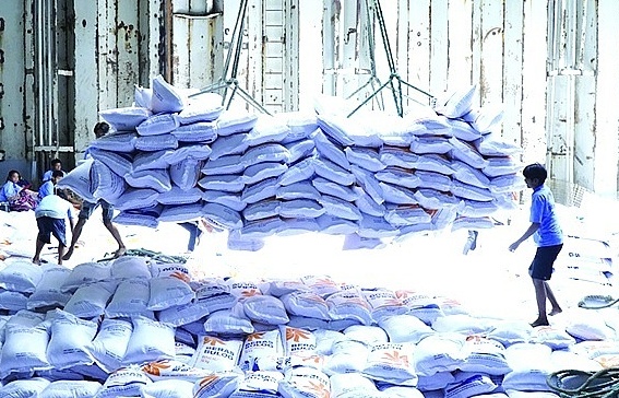Bộ Công Thương yêu cầu VFA xác minh thông tin doanh nghiệp gạo “bỏ thầu giá thấp”