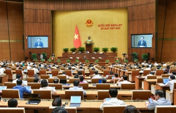 Chính phủ đề xuất thí điểm thành lập Khu thương mại tự do Đà Nẵng