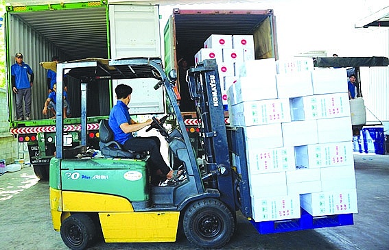 Đóng container hạt điều xuất khẩu. 	Ảnh: K.T