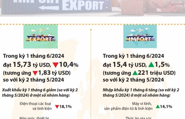 (Infographics) Hơn 336 tỷ USD kim ngạch xuất nhập khẩu tính đến 15/6