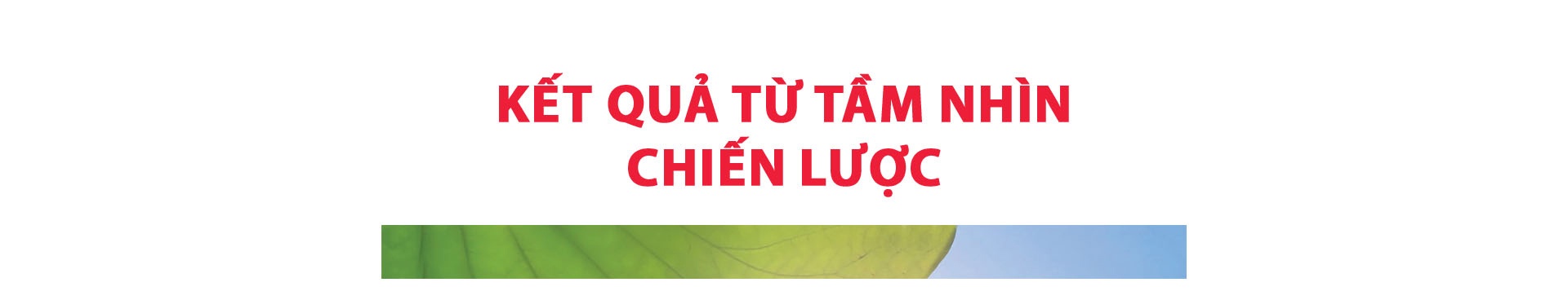 (LONGFORM) Hải quan ASEAN: Hợp tác thúc đẩy thương mại theo hướng hiện đại