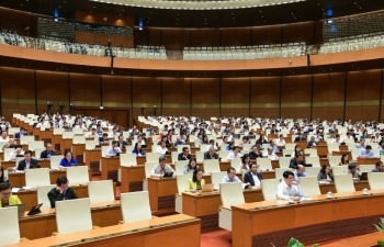 "Giá phân bón tăng giảm không do thuế"