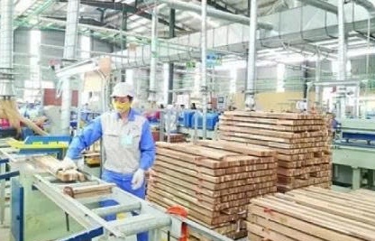 65 tỷ USD: Mục tiêu lớn trên hành trình bền bỉ của nông nghiệp Việt Nam