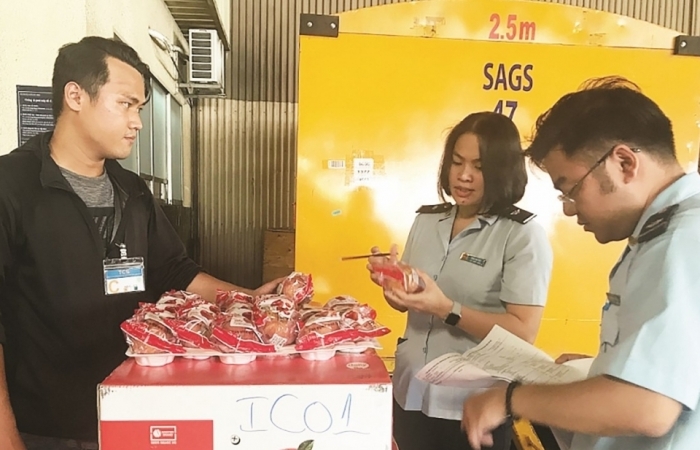 Hải quan TP Hồ Chí Minh: Triển khai hàng loạt giải pháp tạo thuận lợi cho doanh nghiệp