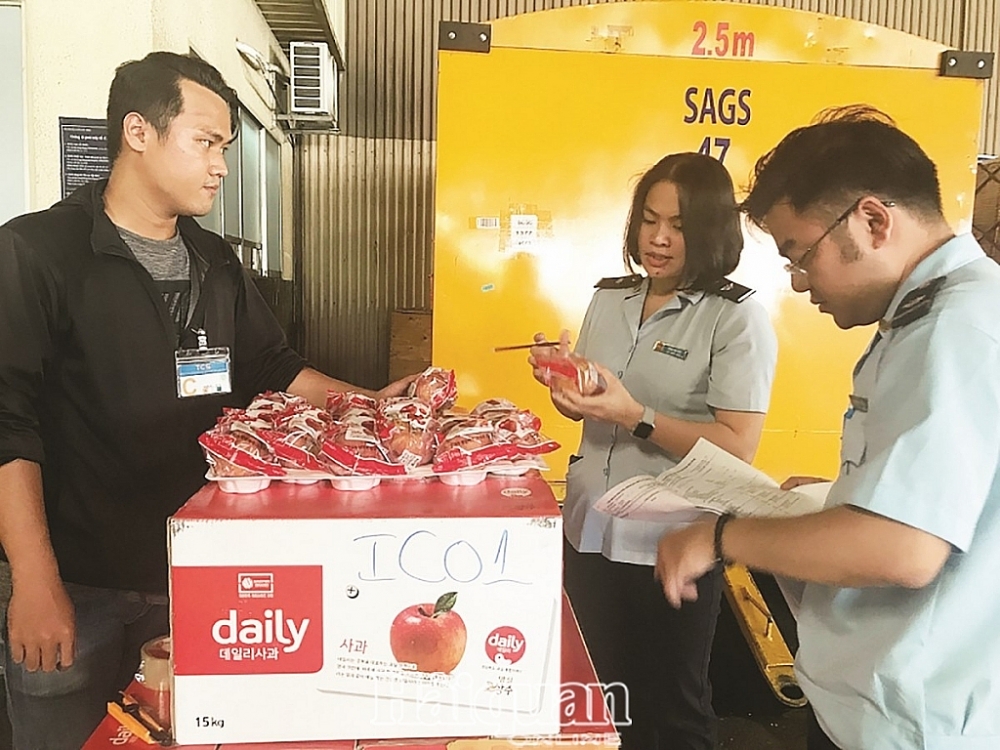 Công chức Hải quan sân bay Tân Sơn Nhất kiểm tra trái cây NK. 	Ảnh: T.H.