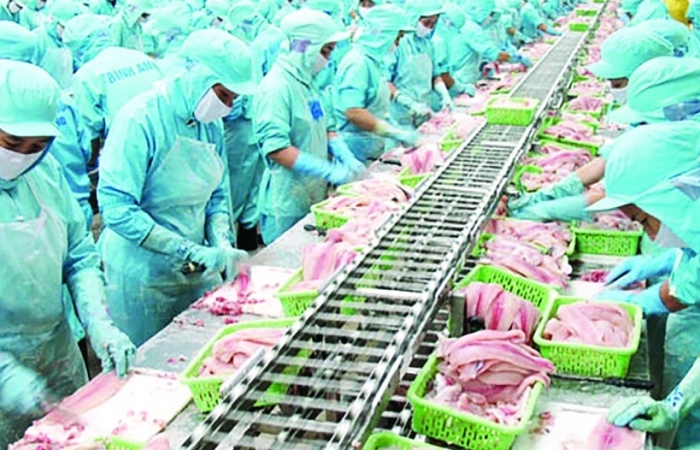 Trung Quốc tiêu thụ nhiều sản phẩm cá tra chế biến của Việt Nam