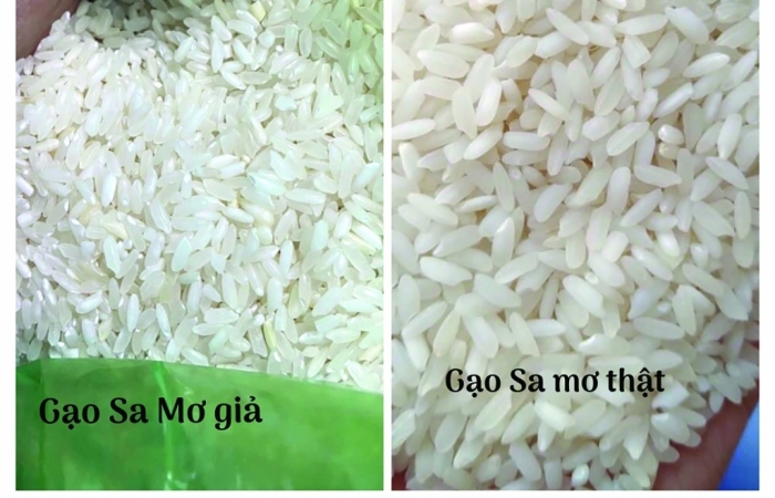 Làm rõ dấu hiệu gian lận xuất xứ gạo Việt Nam