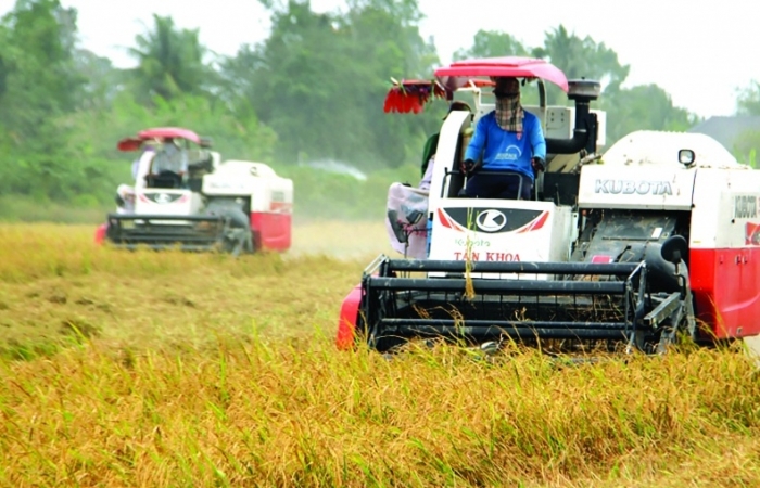 Xuất khẩu gạo Việt: Số 2 thế giới vẫn... chênh vênh