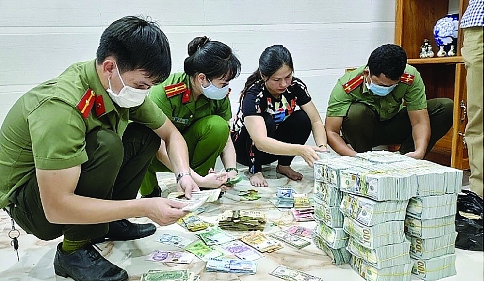 Cục Thuế An Giang xác định số tiền trốn thuế của bị can Nguyễn Thanh Bình lên tới gần 90 tỷ đồng. 	Ảnh: N.T