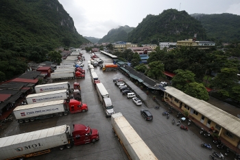 Lạng Sơn:  Hàng nhập khẩu ùn ứ vì Trung Quốc đột ngột áp dụng mẫu C/O mới