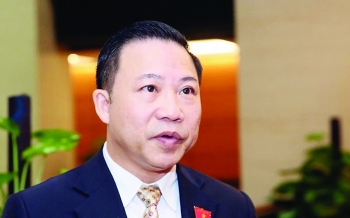 Ông Lưu Bình Nhưỡng, Phó Trưởng Ban Dân nguyện của Ủy Ban Thường vụ Quốc hội: Luật chơi phải tiếp cận quốc tế
