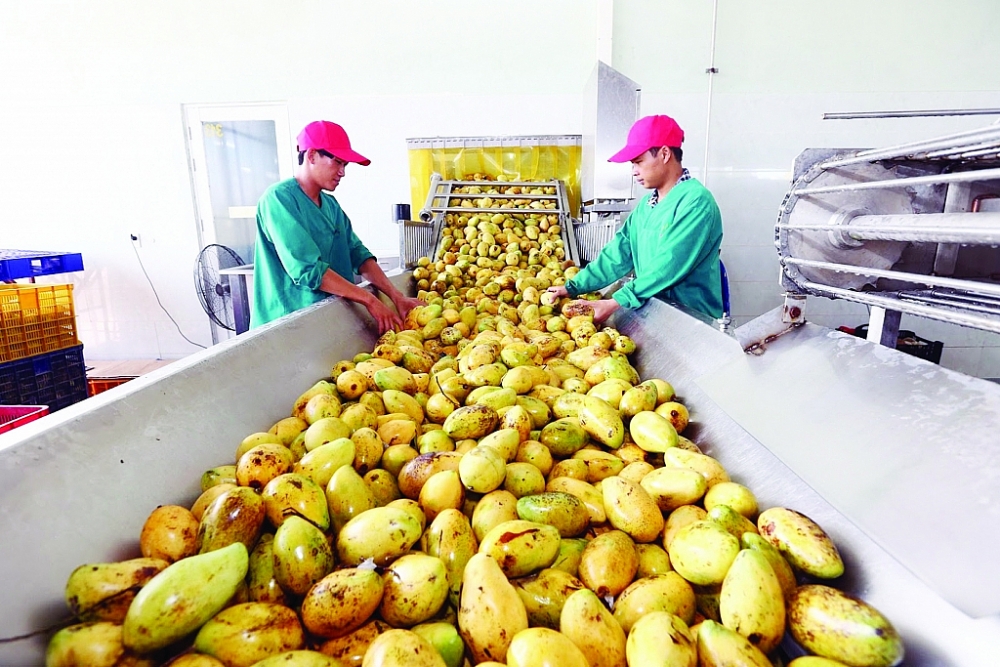 Chất lượng sản phẩm là yếu tố mấu chốt giúp hàng Việt, đặc biệt là hàng nông sản gia tăng sức cạnh tranh trong XK.  	Ảnh: ST