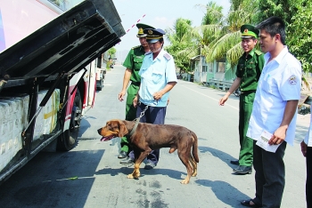 Hải quan- Biên phòng An Giang chung tay giữ vững an ninh cửa khẩu biên giới