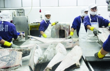Xuất khẩu cá ngừ sang 99 thị trường