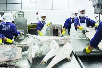 Kỳ vọng xuất khẩu cá ngừ sang 3 thị trường chính