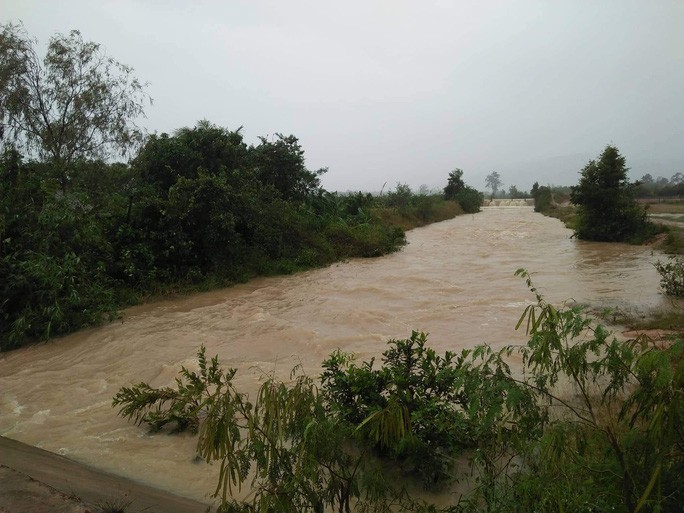 mua lon hang tram ho dan bi ngap hoc sinh nghi hoc toan ho dap bi de doa