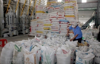 Đấu thầu mua gạo dự trữ đợt 2: Nhiều doanh nghiệp từ chối ký hợp đồng đợt 1 quay lại dự thầu