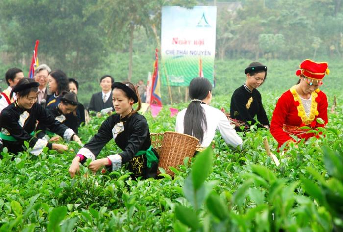 soi dong le hoi tra dai tu thai nguyen