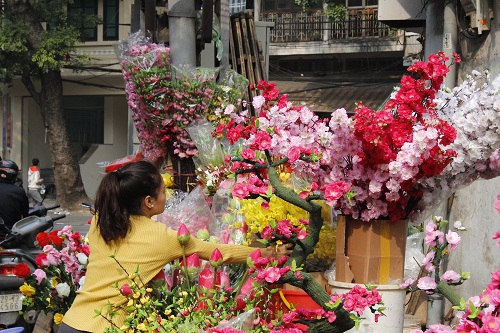 thi truong ha noi phong phu do trang tri tet