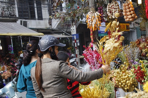 thi truong ha noi phong phu do trang tri tet