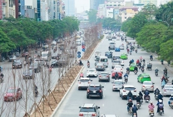 chuyen gia len tieng viec ha noi trong cay phong la do tren pho