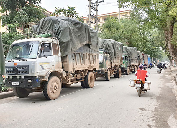 mot so kho khan trong kiem soat nguyen lieu thuoc bac nhap khau